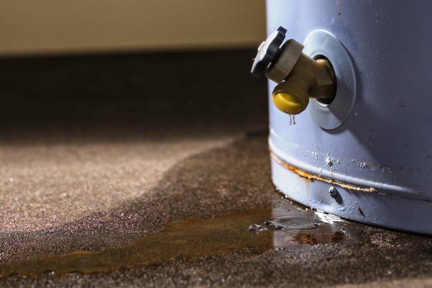 Best Mold removal after water damage  in Orem, UT
