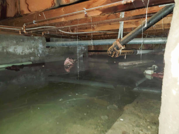 Best Flooded house restoration  in Orem, UT