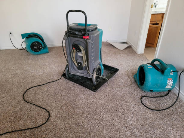 Best Water damage restoration experts  in Orem, UT