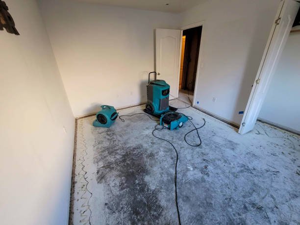 Best Water damage restoration near me  in Orem, UT