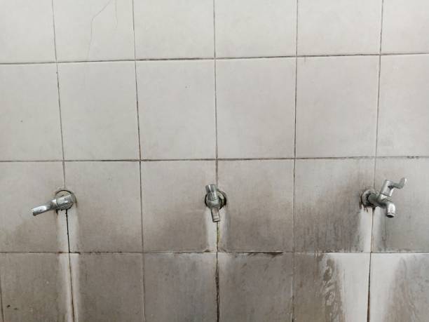 Best Basement water damage restoration  in Orem, UT