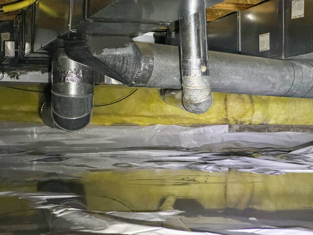Best Carpet water damage restoration  in Orem, UT
