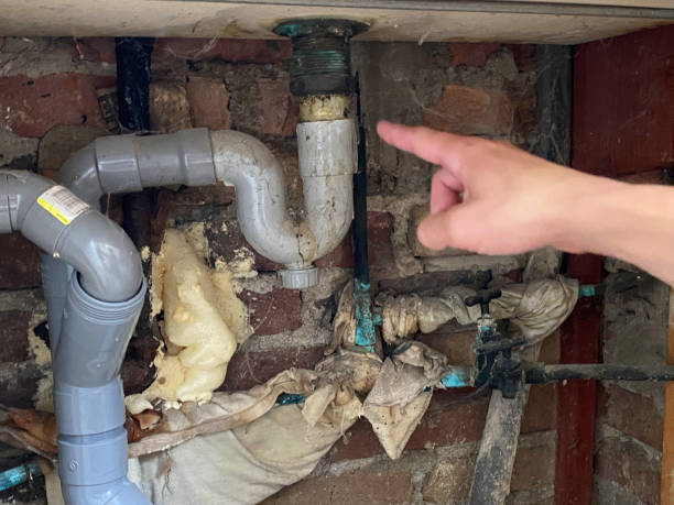 Water damage restoration mold remediation in UT
