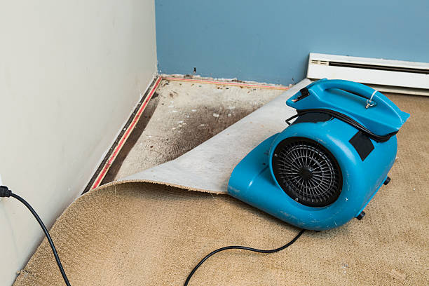 Best Local water damage restoration  in Orem, UT